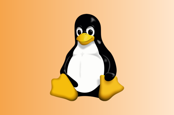 Tux, a penguin mascot for Linux, sits on a gradient yellow background.
